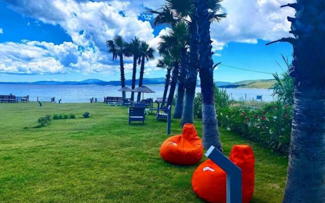 Olive Beach Residence