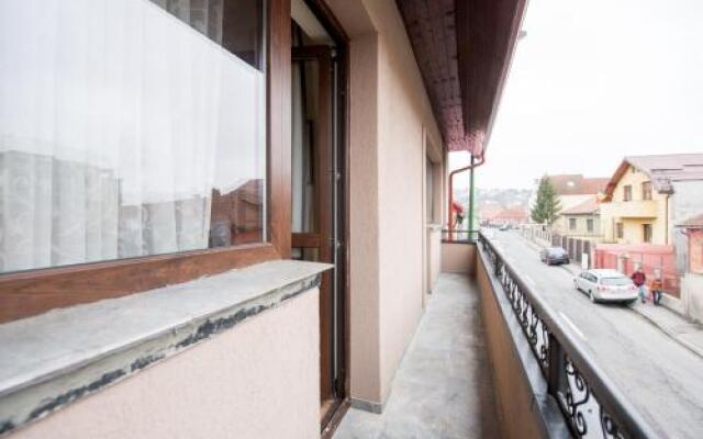 Vila Nicopole - art & wine