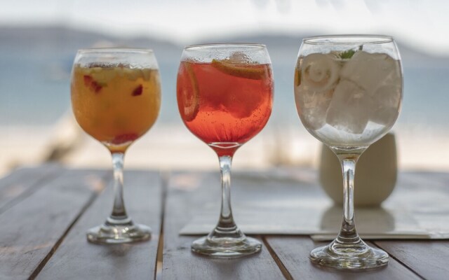 Los Vivos Beachfront Experience