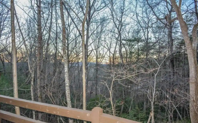 Poppy`s Mountain House