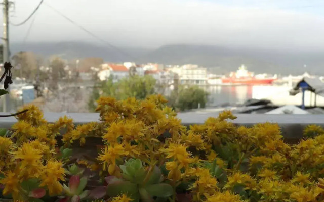 Captain's Beach Boutique Apartments