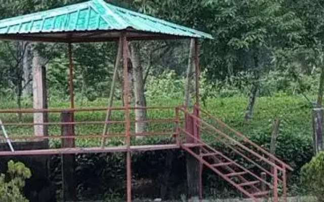 Homocation Kadambini Jungle Resort
