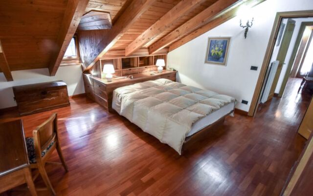 Cesa Galaldriel 29973