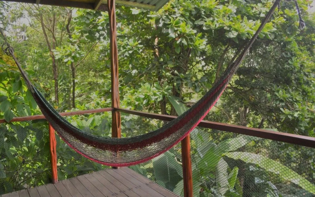 Lookout Inn Beach Rain forest Eco Lodge