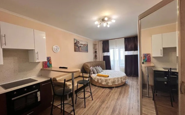 Апартаменты Вояж на улице 50 лет ВЛКСМ, д. 19