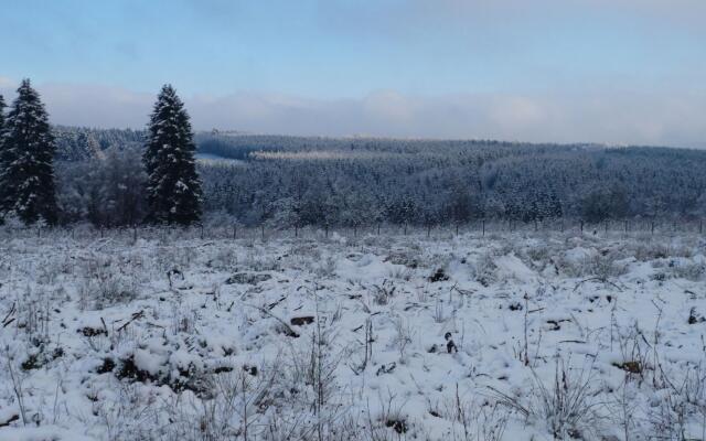 Cozy Chalet With Pond, Malmedy