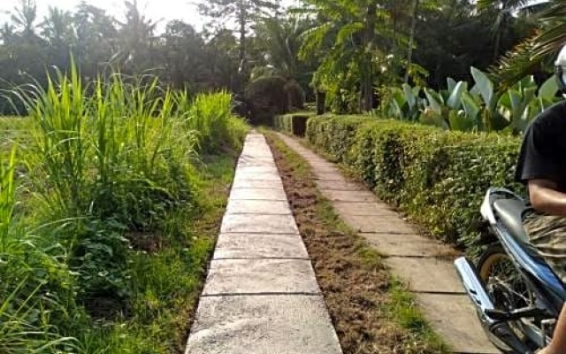 Balian Bliss Retreat Resort - Adults Only