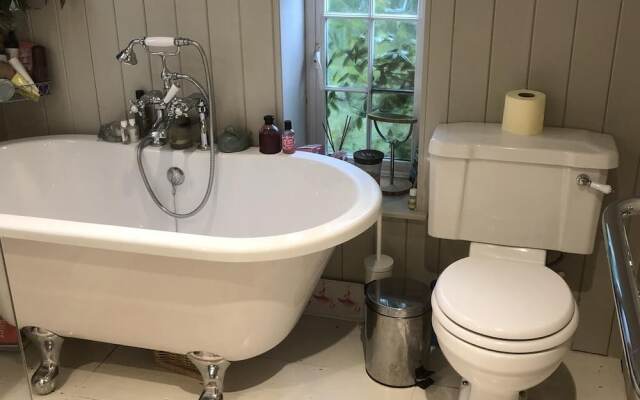 Forest view Bed and Breakfast