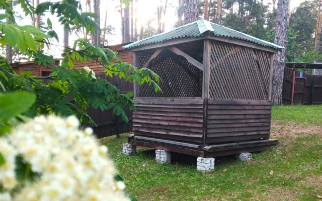 Старая башня(Бердск)