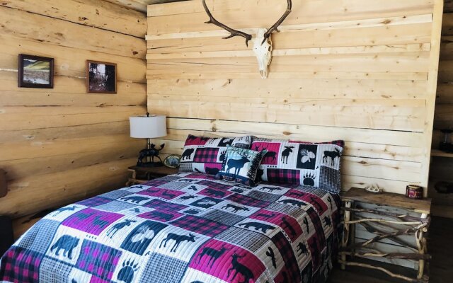 Wrangell Mountain Lodge