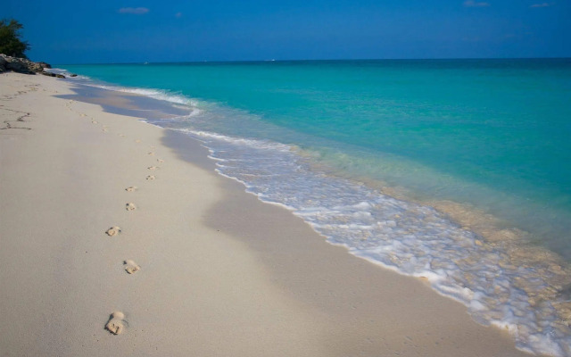 Resorts World Bimini
