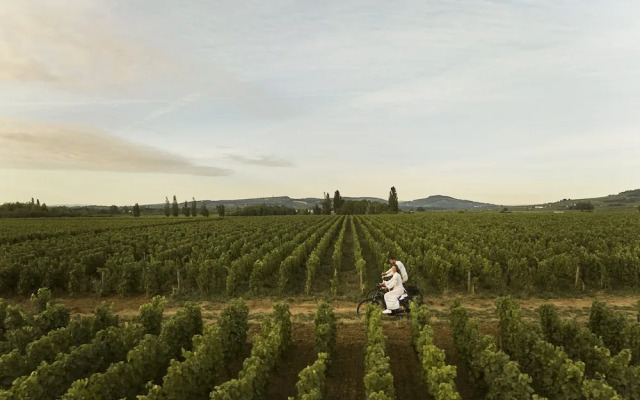 COMO Le Montrachet