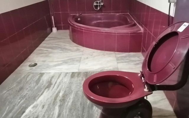 Luxurious 5BHK Peace Villa Siridao Goa Beach