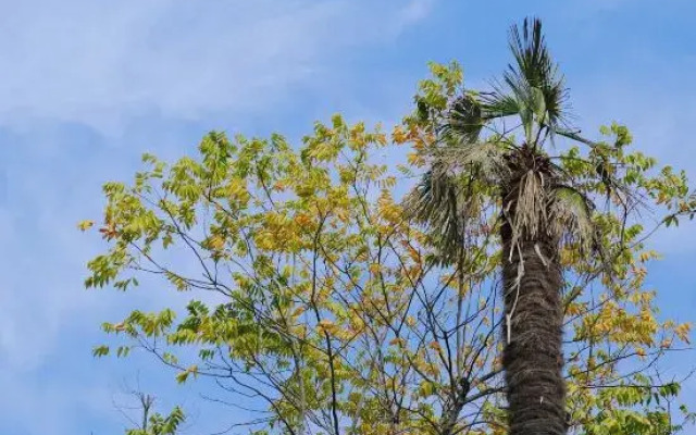 Jinxian Changshan Holiday Hotel