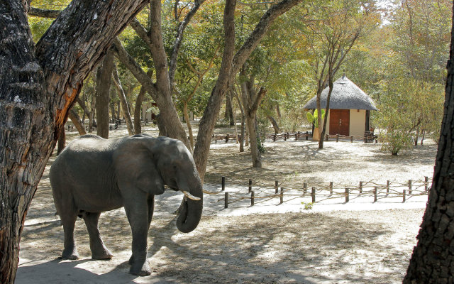 Gwango Elephant Lodge