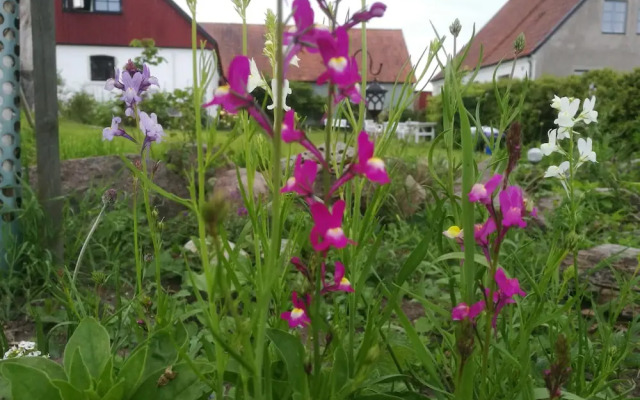 Gården mellan Slotten