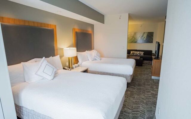 SpringHill Suites Winston-Salem Hanes Mall