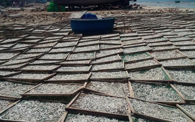 MiNhon Hotel Mui Ne