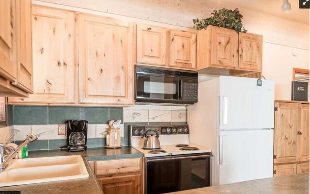 The Christophe 704 - 1 Bdrm - Great Hiking & Mtn Biking! Condo