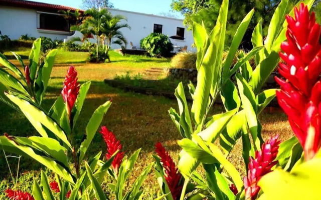 Nest Hotel B & B