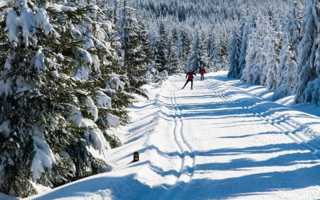 Slunný byt 2 a kk v Jizerkách