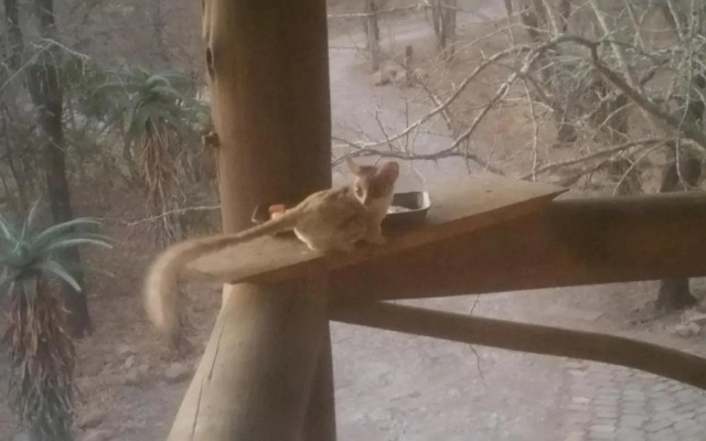 Marlothii Safari House