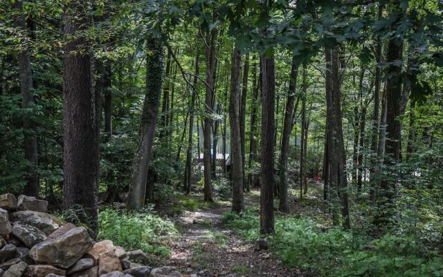 Little Bear 4 Bedroom House