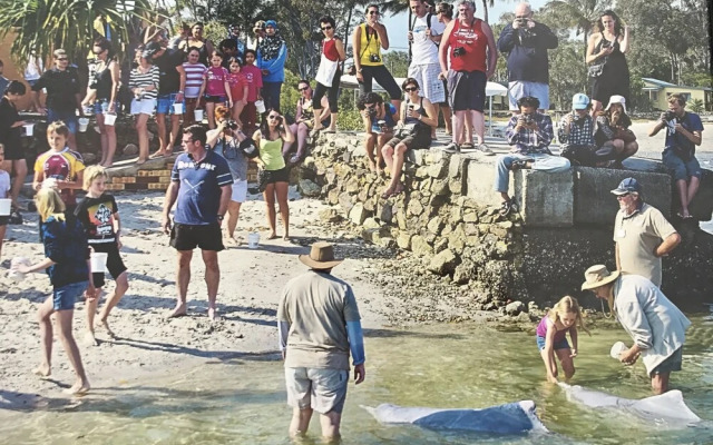 Tin Can Bay Budget Accommodation - Hostel