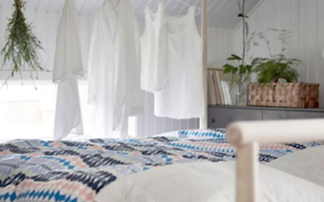 The Urban Jungle Hostel