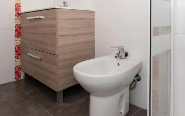 Florazar 1, Iv-B 14-D