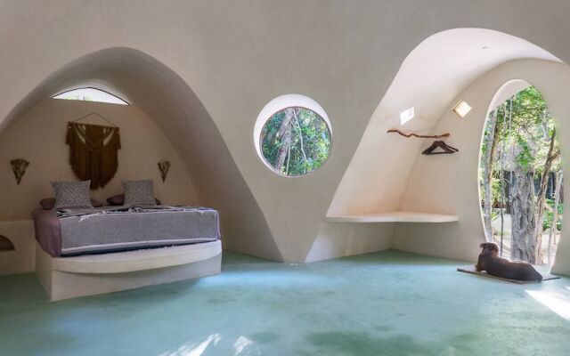 Room in Lodge - Unique Jungle Dome 2 Queen Beds
