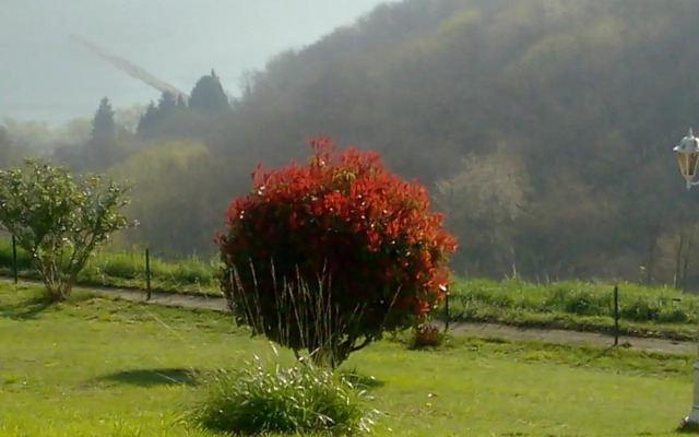 Schau-Rhein#1 - On top of Bacharach, Rhineview