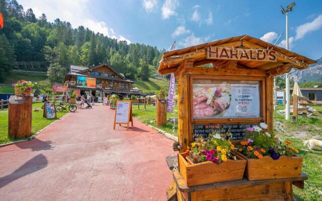 La Marmotta Campo Smith on the Ski Slopes