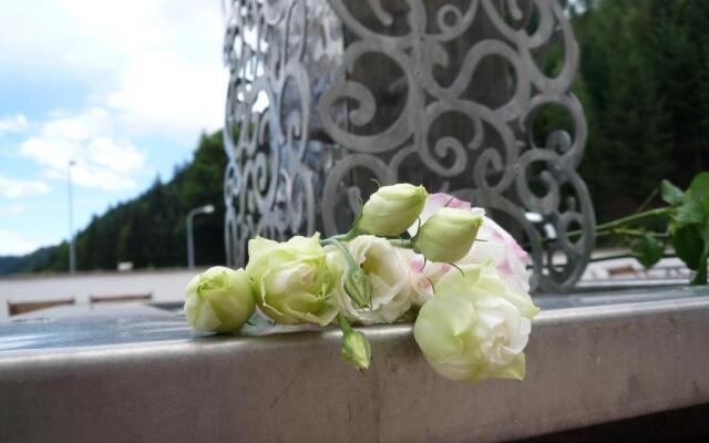 Hotel Plankenhof B&B