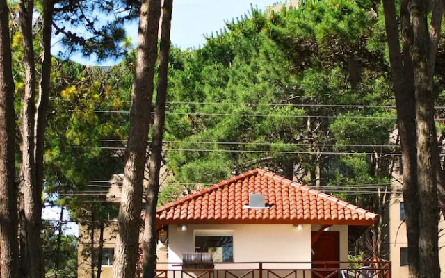 suites del bosque