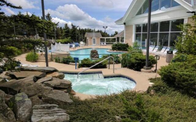 Snowshoe Condo Unit 333