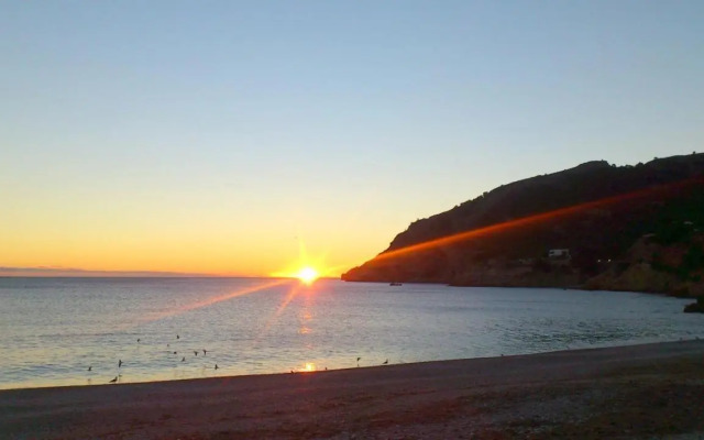 Albir 21 By Albir Proper Properties