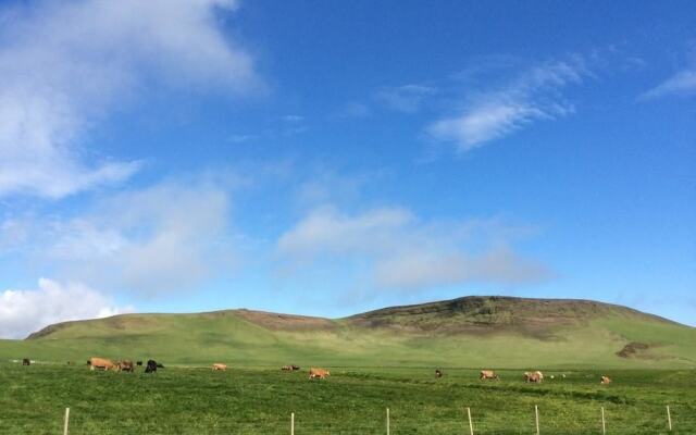 Hvammból Apartments