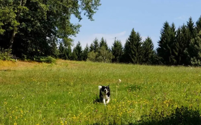 Waldhaus Sonnenberg Apartment 2