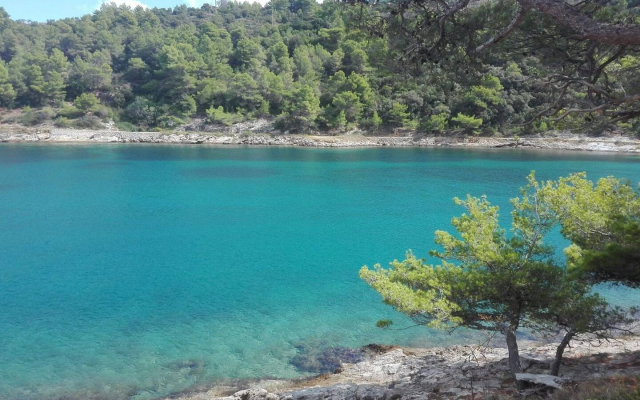 Apartment Soni - with barbecue; A1 Postira, Island Brac