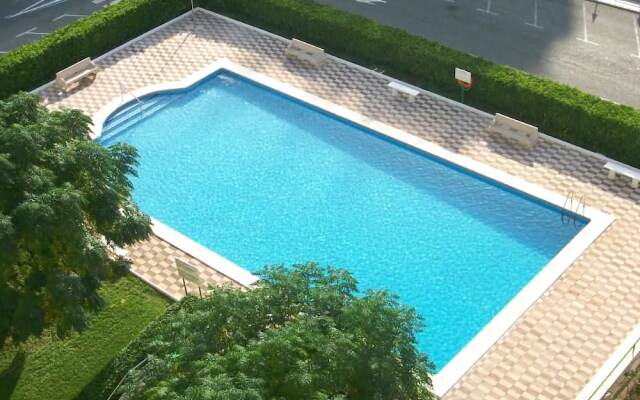 Gardenias-romas-la Safor o Similar