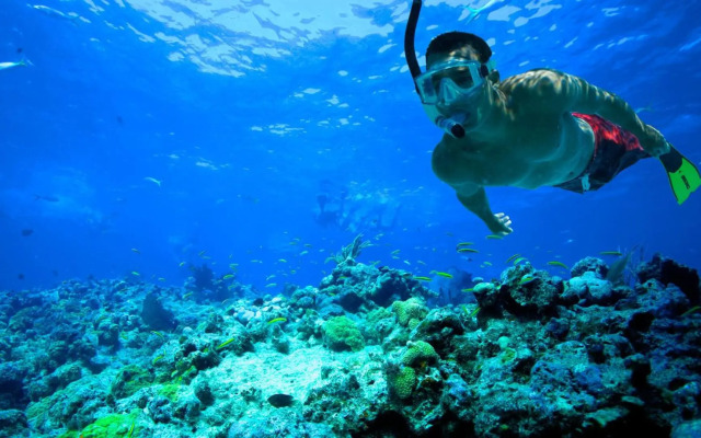 Primera Linea, Gran Terraza, Maravillosas Vistas