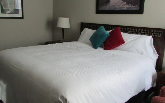 The City Motel