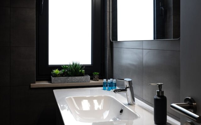 Biscuttela Vicentina