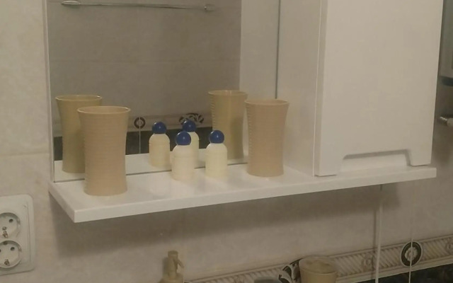 Magnificent apartment in Central Lviv