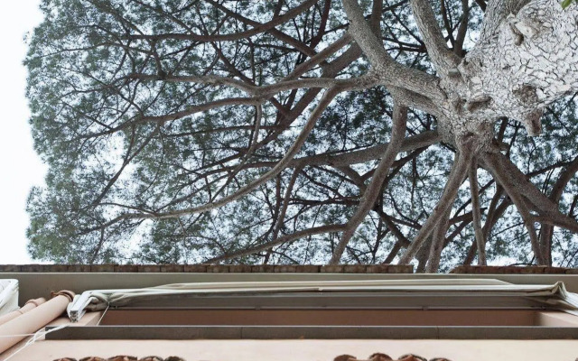 La Casa di Carla