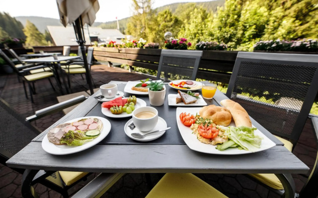 Parkhotel Harrachov