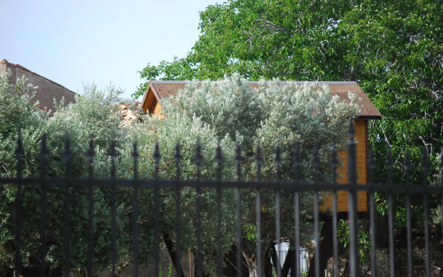 Palazzo Conforti Tree House Resort