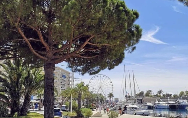 Appartement Saint-Raphaël, 1 pièce, 3 personnes - FR-1-466A-40