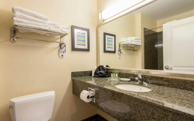 Holiday Inn Hotel & Suites Scottsdale North - Airpark by IHG